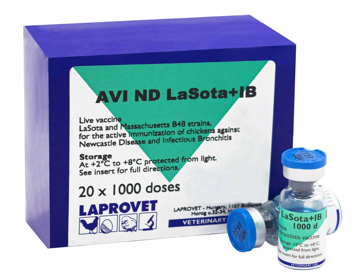 AVI ND LASOTA + IB 1000D