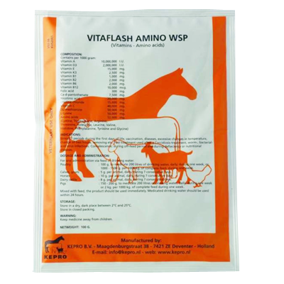 VITAFLASH AMINO 1KG