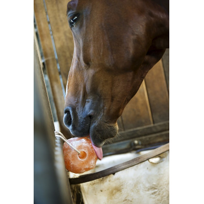 PIERRE A LECHER CHEVAUX 1kg