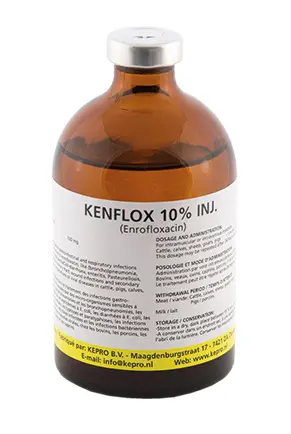KENFLOX 10% 100ML