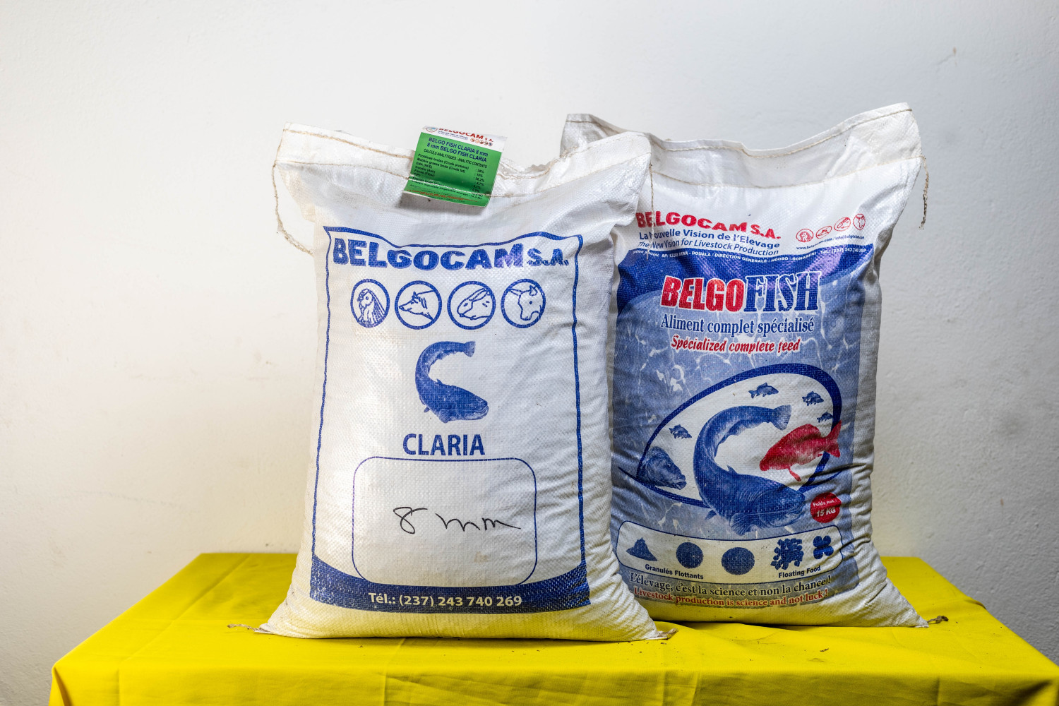 BELGO FISH TILAPIA PARVO 2g 20kg