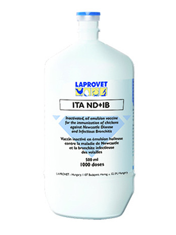 ITA ND+IB 1000 DOSES