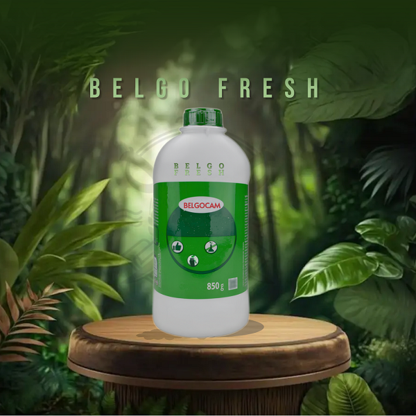 BELGO FRESH